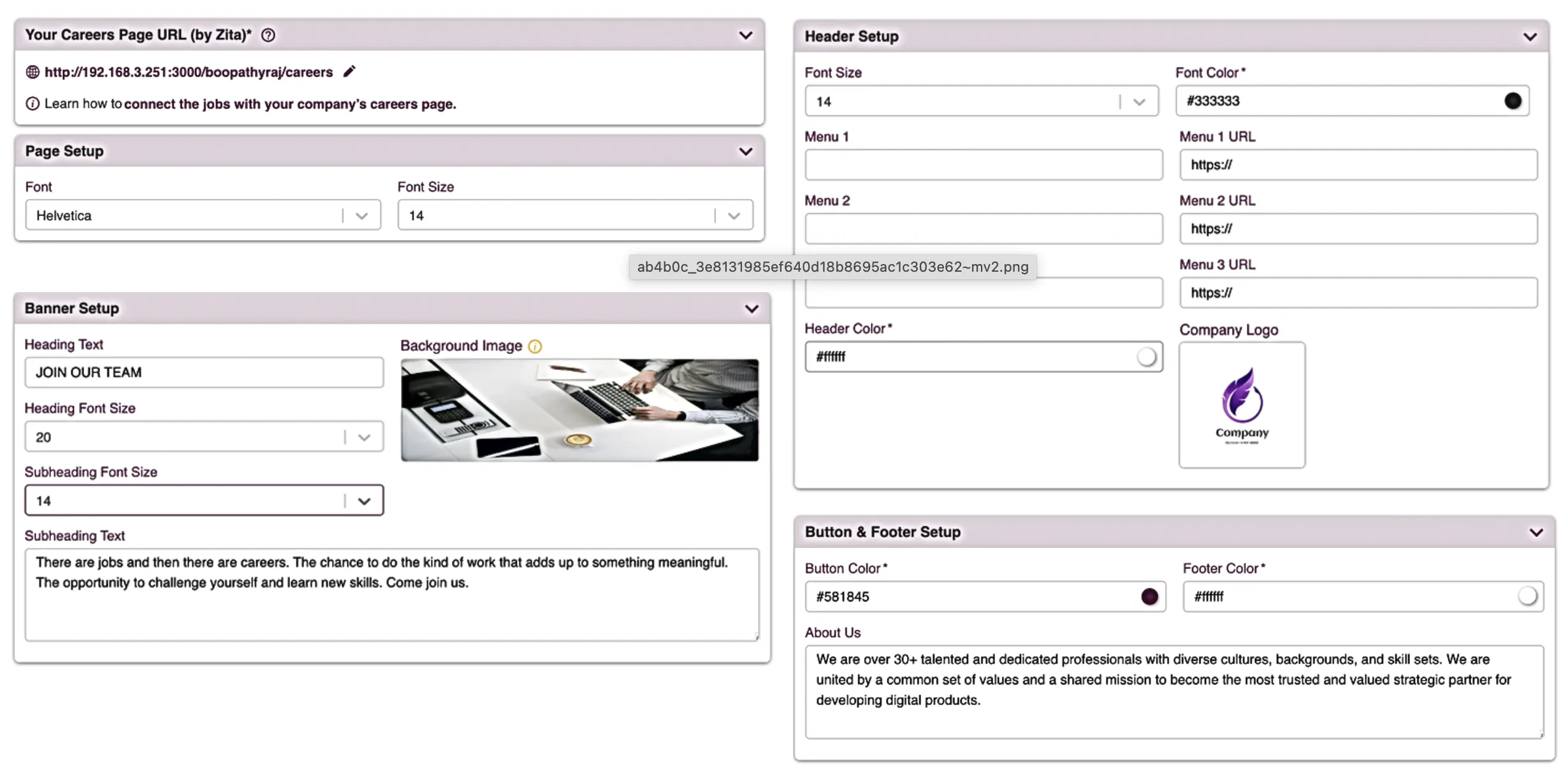Make career website designs and get  Customized Branding 